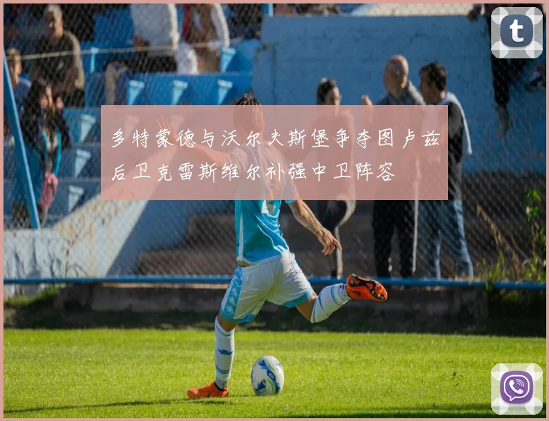 多特蒙德与沃尔夫斯堡争夺图卢兹后卫克雷斯维尔补强中卫阵容