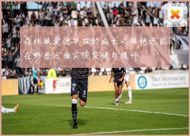 森林狼爱德华兹的成长之路他还能在哪些方面实现突破与提升