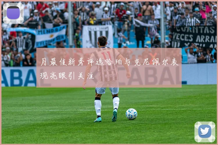 月最佳新秀评选哈珀与克尼佩尔表现亮眼引关注